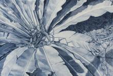 Série "Saison Sèche" 